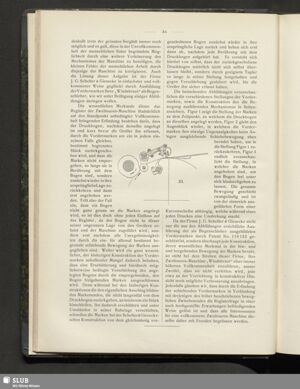 S.210