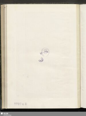 S.81