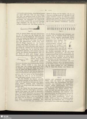 S.381