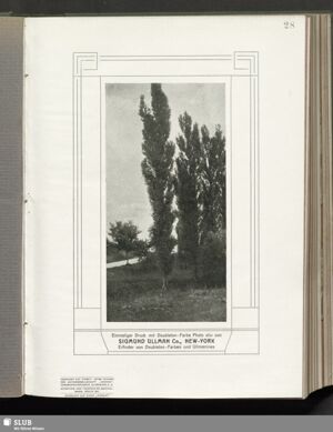 S.176
