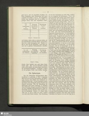 S.507