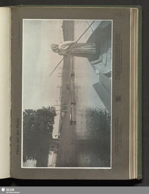 S.446